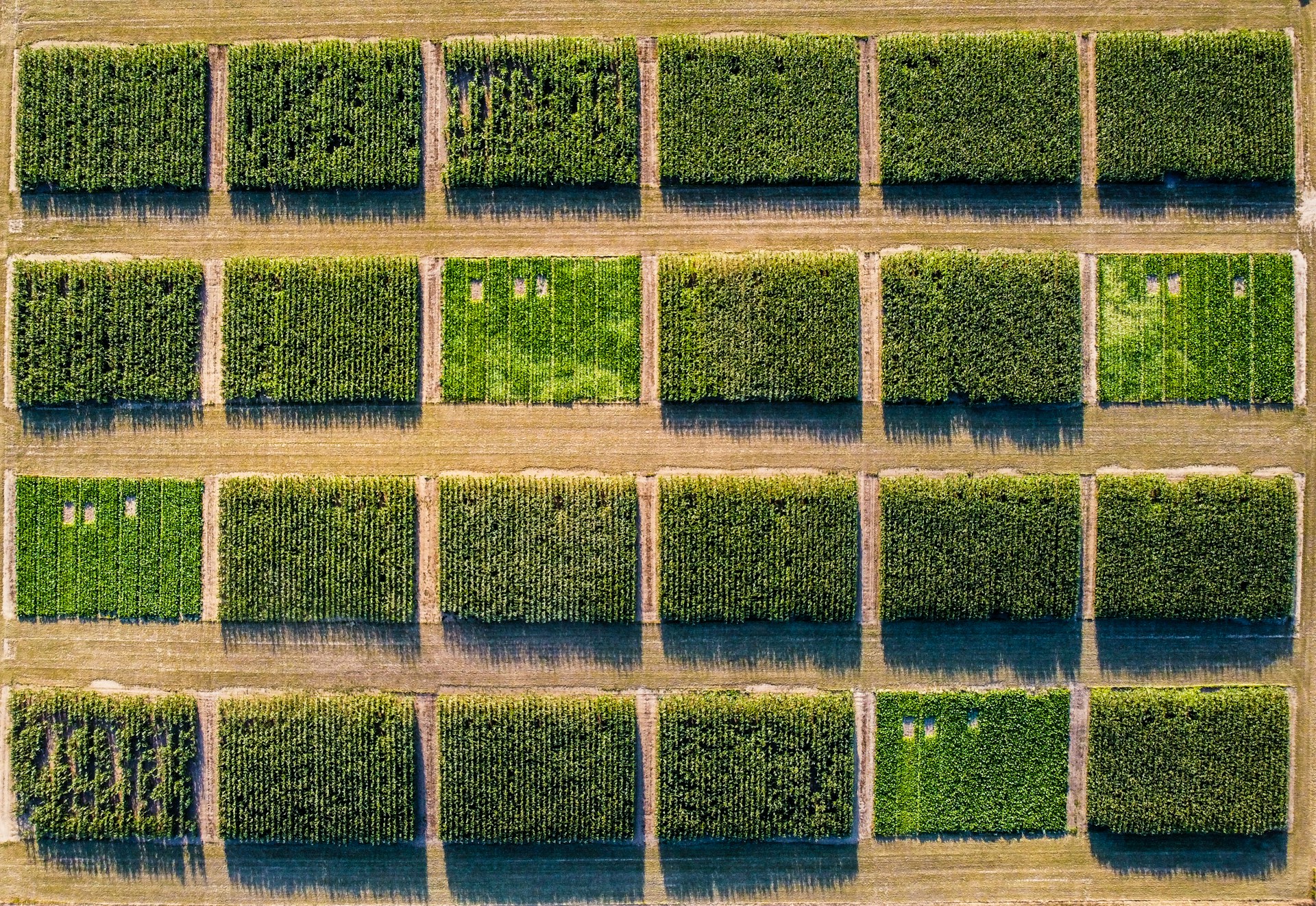carbon farming soil
